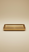 Brushed metal catchall tray